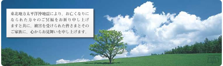 �ނ�Œn�k�ЊQ�̂���������\���グ�܂��B